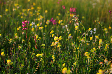 Similar image 21340721