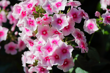 Similar image 21340722