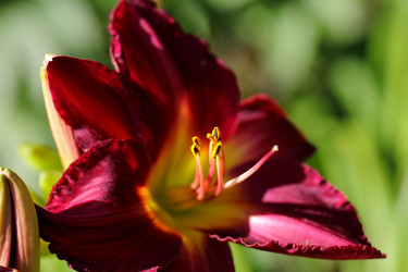 Similar image 21339998