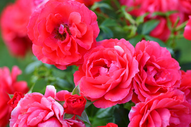 Similar image 21334898