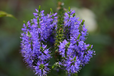 Similar image 21340723