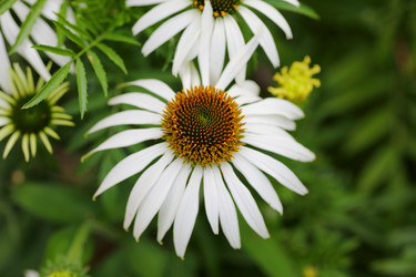 Similar image 21340724