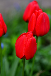 Similar image 21340725