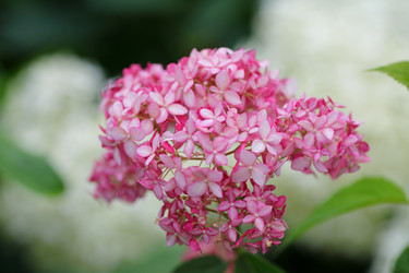 Similar image 21340726