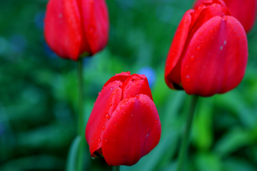 Similar image 21340727