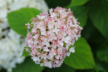 Similar image 21340728