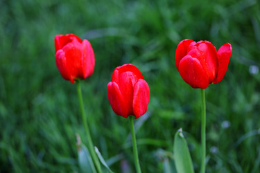 Similar image 21340729