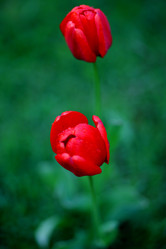 Similar image 21340730