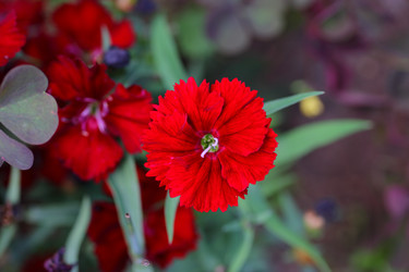 Similar image 21340731