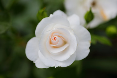 Similar image 21334899