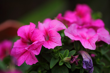 Similar image 21340733