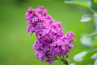 Similar image 21340734