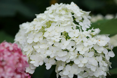 Similar image 21340735