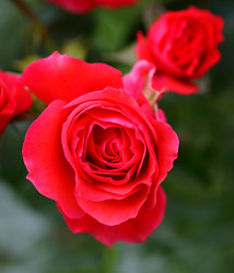 Similar image 21334900