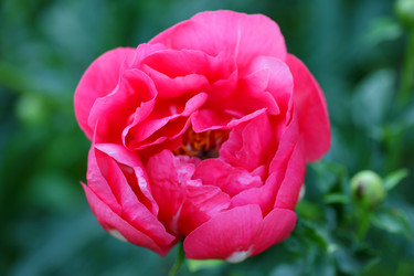 Similar image 21340737