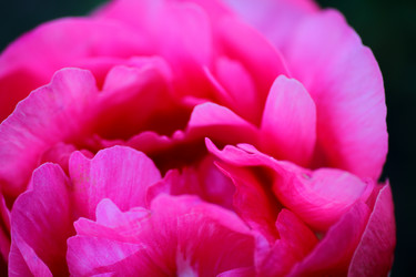 Similar image 21340738