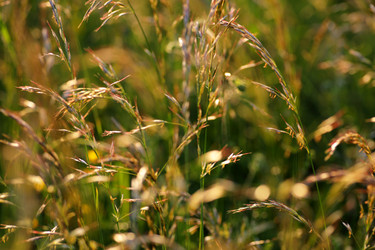 Similar image 21340739