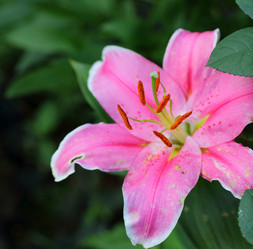 Similar image 21340002