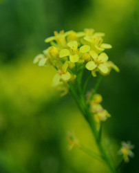 Similar image 21340741