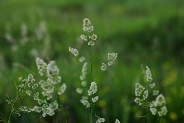 Similar image 21340742