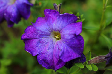 Similar image 21340003