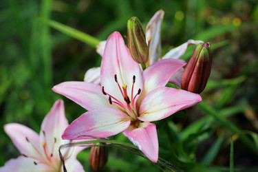 Similar image 21340004