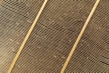 Similar image 21333630