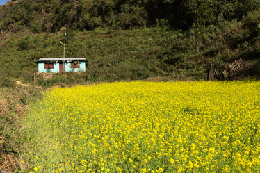 Similar image 21334214