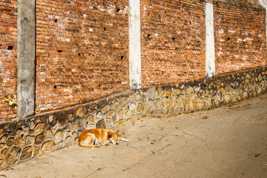 Similar image 21334227