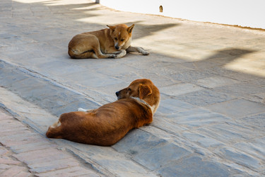 Similar image 21334228