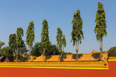 Similar image 21334239