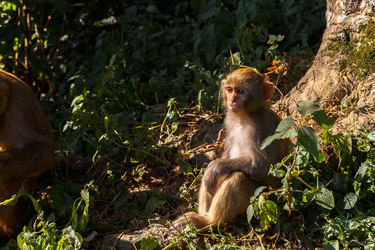 Similar image 21334615