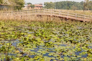 Similar image 21334256