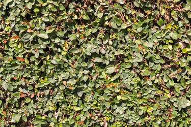 Similar image 21334283