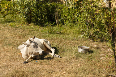 Similar image 21334402