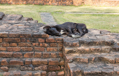 Similar image 21334263