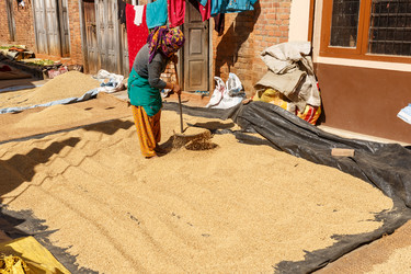 Similar image 21334379