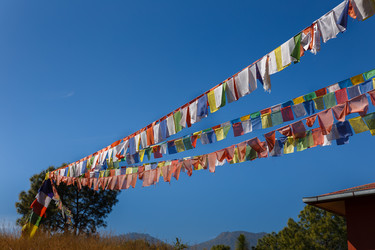 Similar image 21334342