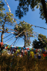 Similar image 21334343