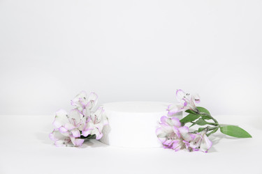 Similar image 21335089