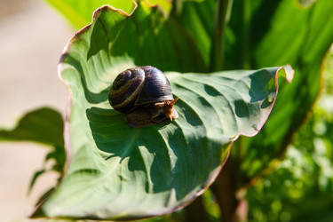 Similar image 21334732