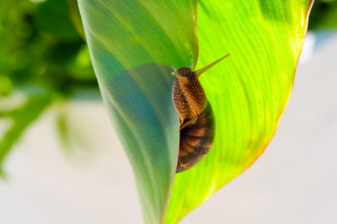 Similar image 21334662