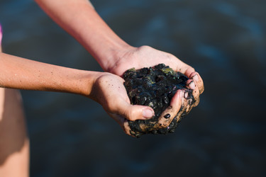 Similar image 21334733