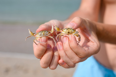 Similar image 21334736