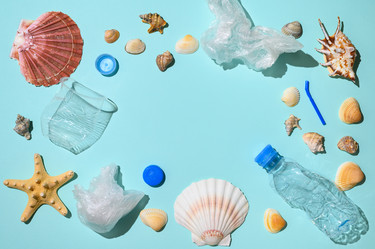 Similar image 21334739