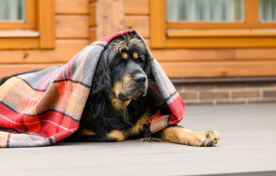 Similar image 21335631