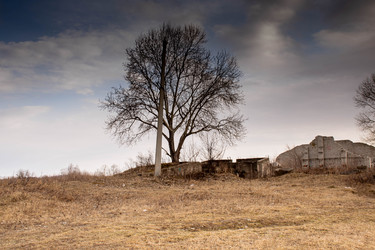 Similar image 21334740