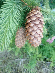 Similar image 21339077