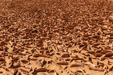 Similar image 21334754