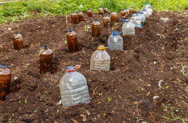 Similar image 21334759